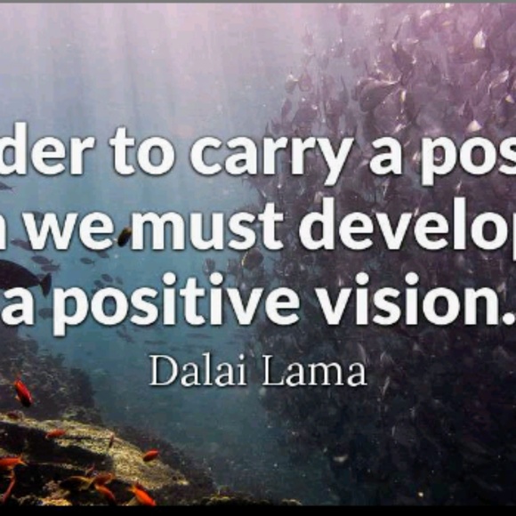 Meet your Posher, Sara - Picture 6 of 8